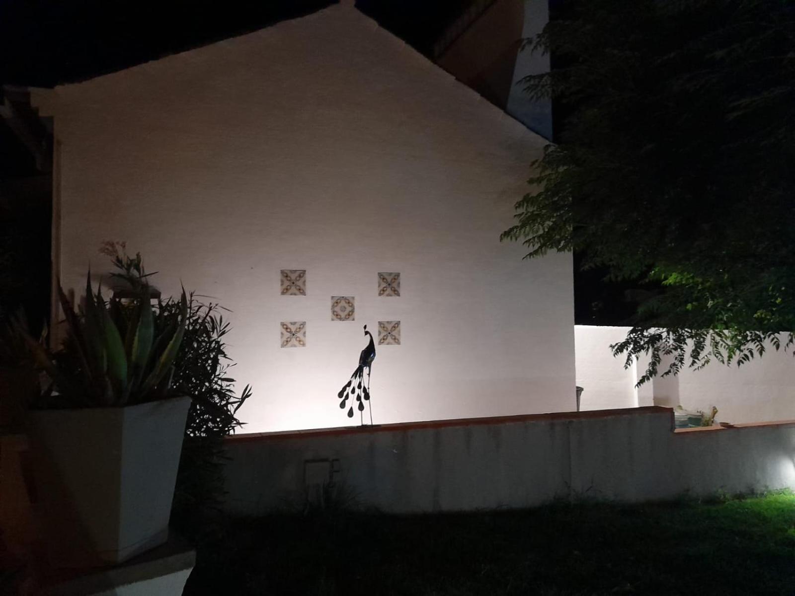 Pateo Do Morgado - Turismo De Habitacao Bed & Breakfast Casa Branca ภายนอก รูปภาพ
